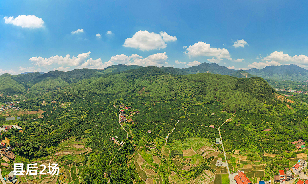 县后2场
