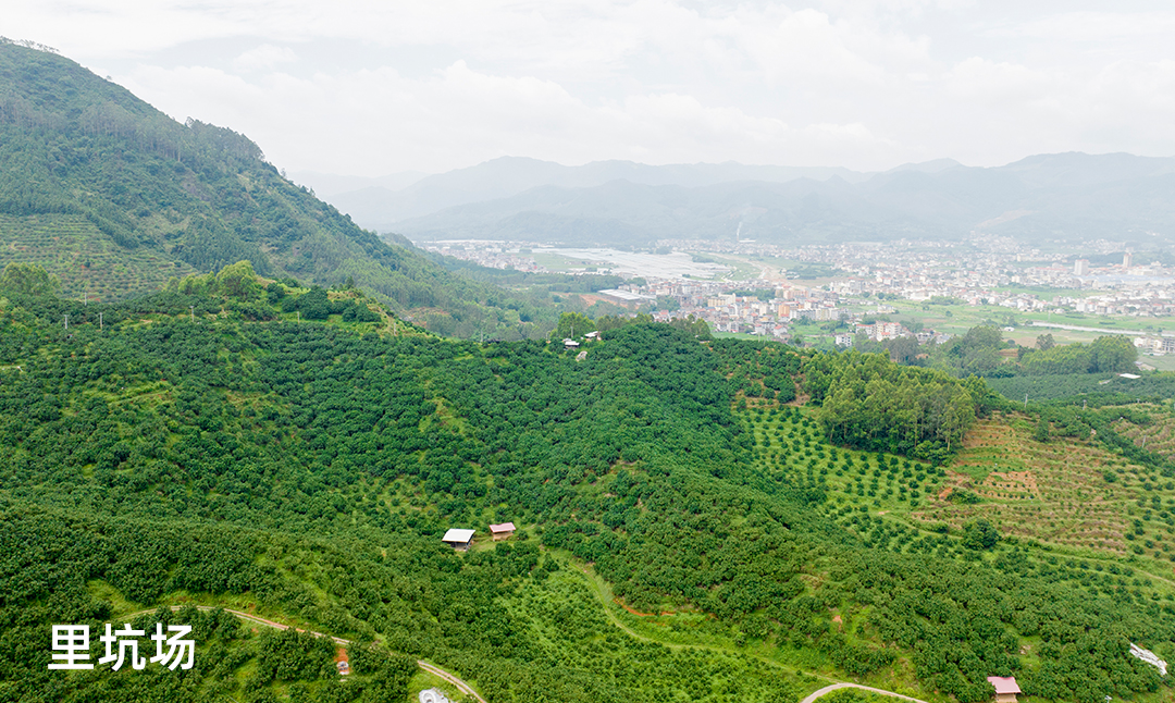 里坑场
