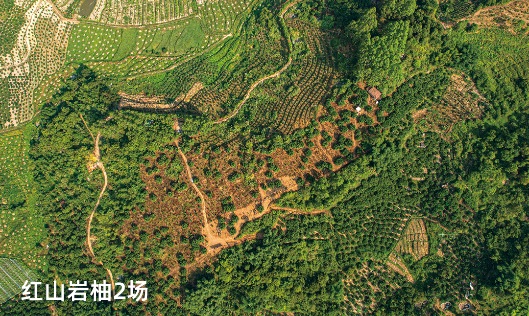 红山岩柚2场