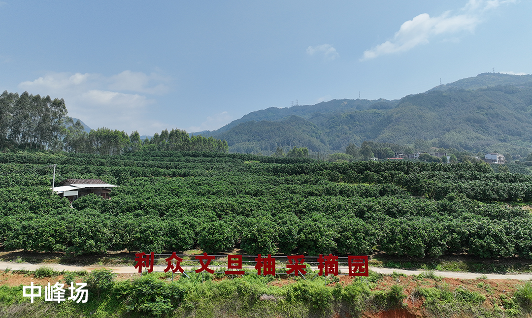 中峰场